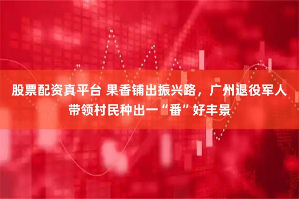 股票配资真平台 果香铺出振兴路,广州退役军人带领村民种出一“番”好丰景